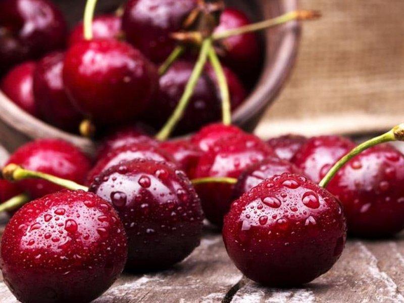 Вишня купить саженцы из питомника в Полевском